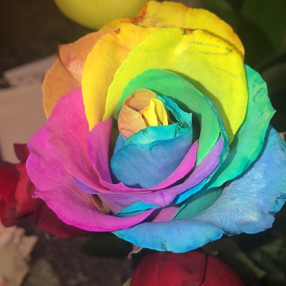 Meet your Posher, Katreena - Picture 1 of 1